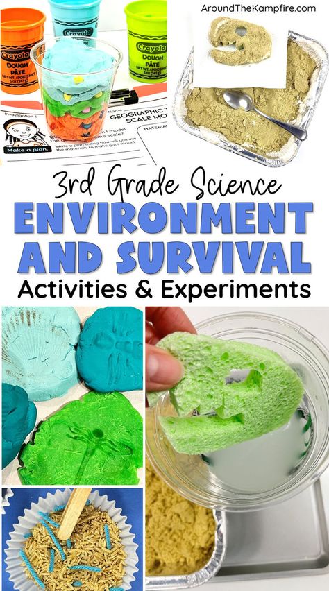 Third grade science experiments for learning about fossils. Third Grade Science Projects, 3rd Grade Science Experiments, 3rd Grade Science Projects, Third Grade Science Activities, Survival Activities, Simple Stem Activities, 3rd Grade Science, Easy Science Projects, Grade 3 Science