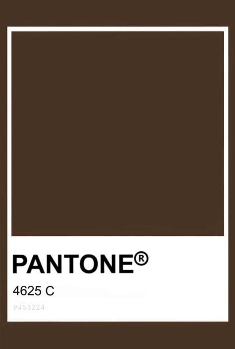 This color was taken from Humanae project (by Angélica Dass) Pantone Brown, Peach Sweatshirt, Brown Pantone, Color Knowledge, Pantone Colour Palettes, Color Palette Design, Color Analysis, Color Inspo, Graphic Design Projects