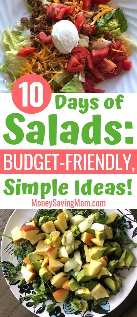 Want to eat more salads, even on a budget? These are GREAT ideas! #saladrecipe #easyrecipe #vegetarianrecipe Budget Bites, Frugal Decor, Super Salads, Conscious Lifestyle, Budget Cooking, Year Goals, Vegetarian Cookbook, Thrifty Thursday, Money Saving Mom