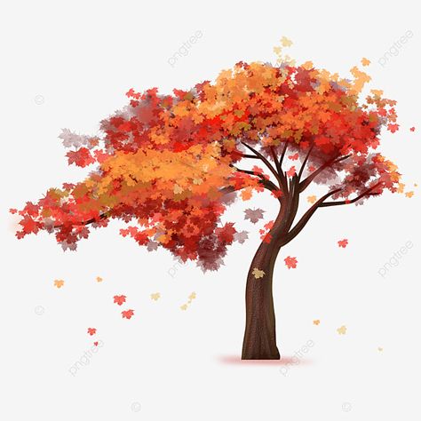 Autumn Tree Illustration, Fall Tree Drawing, Autumn Tree Drawing, Tree Clipart Png, Tree Psd, Plant Clipart, Fall Tree Painting, Trees Png, Fall Drawings