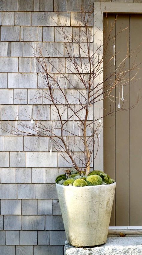 Winter Containers, Front Door Planters, Winter Container Gardening, Door Planter, Spring Planter, Winter Planter, Winter Porch, Christmas Planters, Outdoor Pots