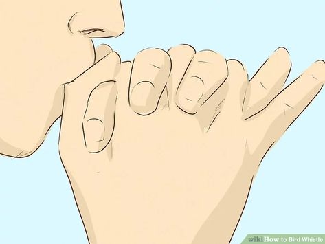 3 Ways to Bird Whistle - wikiHow How To Whistle With Your Fingers, How To Whistle, Bird Whistle, How To Whistle Loud, Hand Tricks, Easy Magic Tricks, Bird Calls, Easy Cartoon Drawings, Best Anime Drawings