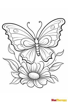 Keep your kids entertained with these 18 free printable butterfly coloring pages. They'll love coloring in these beautiful butterflies and you'll love the peace and quiet! Download them for free from my website. Monarch Butterfly Coloring Pages, Butterfly Coloring Pages Free Printable, Coloring Pages Butterflies, Printable Butterfly Coloring Pages, Printables Flowers, Butterfly Coloring Pages, Printable Butterfly, Butterfly Coloring, Butterfly Printable