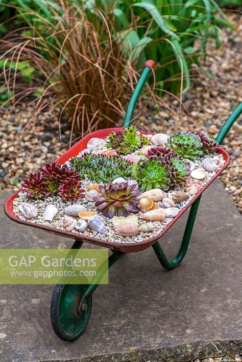 House Landscape Front Yard, Wheelbarrow Planter Ideas, Design Front House, Wheelbarrow Decor, Landscape Front Yard, Succulent Wall Planter, Fairy Garden Pots, Front Yard Landscape, Wheelbarrow Planter