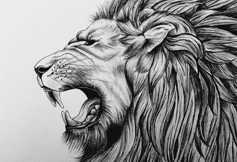 Roar Poster, Lion Head Drawing, Lion Roaring, Leg Sleeve Tattoos, Side View Drawing, Lion Roar, View Drawing, Lion Sketch, Lion Head Tattoos