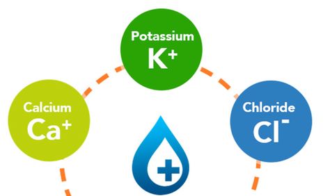 Extracellular Fluid, Osmotic Pressure, Iv Fluids, Fluid And Electrolytes, Adrenal Glands, Body Fluid, Lower Blood Pressure, Anatomy And Physiology, Total Body