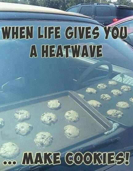 When life gives you a heatwave ... make cookies funny Fun Interior Design, Hot Weather Humor, Family Humor, Car Humor, How To Make Cookies, No Bake Cookies, Funny Photos, Cookies Et Biscuits, Funny Jokes