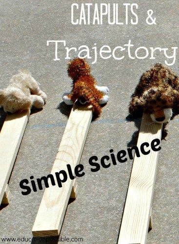 Simple Science, Cool Science Experiments, Stem Projects, Preschool Science, Easy Science, History Projects, Elementary Science, Homeschool Science, Middle School Science