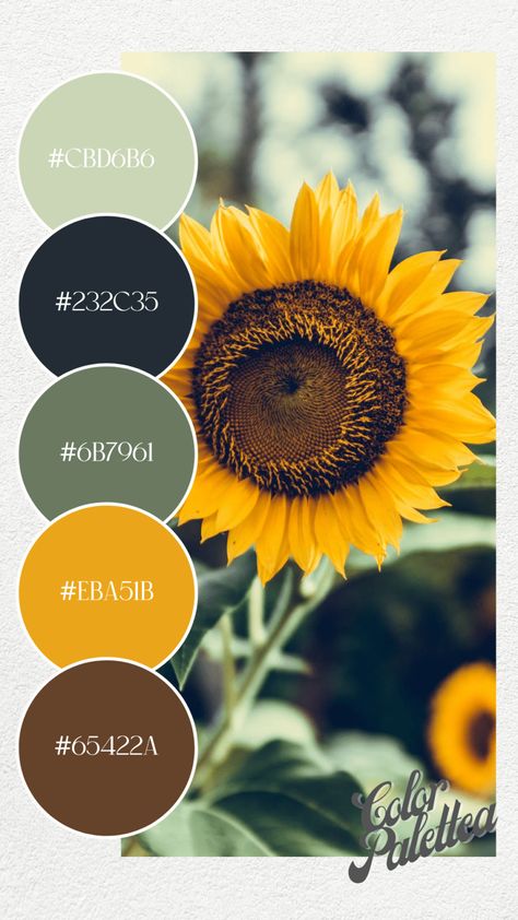 Current Color Trends 2023, Pantone Spring 2023, Spring 2023 Color Trends, Floral Color Palette, 2023 Color Trends, True Spring, Color Boards, Sunflower Colors, Hex Color Palette