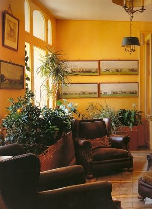 like the saffron walls Yellow Walls Living Room, Yellow Bedroom Walls, Interior Wall Colors, Wall Colours, Living Room Wall Color, Brown Rooms, Colorful Apartment, Plant Room, Apartment Makeover