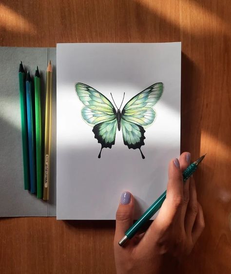 Pencil Colour Butterfly, Colored Pencil Butterfly, Pencil Colour Painting, Colored Pencil Drawing Techniques, Butterfly Sketch, Pencil Drawings Of Flowers, Butterfly Art Painting, Colored Pencil Artwork, Art Album