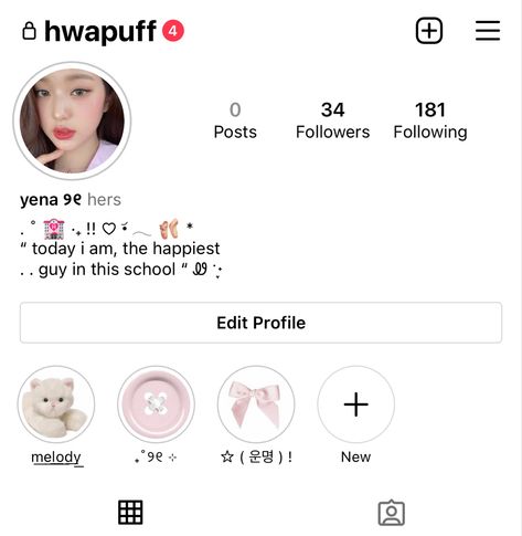 Pink Instagram Accounts, Cute Instagram Layout Ideas, Pink Username Ideas, Wonyoung Bio Ideas, Twice Username Ideas Kpop, Pink Bio Instagram, Wonyoung Phone Layout, Pink Instagram Profile, Soft Bios Instagram