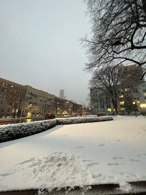 snow day, snowy campus, northeastern university, boston, boston college, boston university, mit, harvard, snow pic, nuin boston, snowflakes Northeastern University Boston, Northeastern Aesthetic, Northeastern University Aesthetic, Rocks Aesthetic, Ella Woods, Northumbria University, Northeastern University, Era Aesthetic, College Vision Board