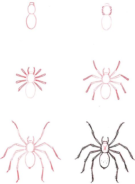 Learn to draw: Spider Spider How To Draw, Spider Drawing Step By Step, How To Draw A Spider Step By Step, Spider Cartoon Drawing, How To Draw Spider, Drawings Of Spiders, Drawing A Spider, How To Draw A Spider, Spider Art Drawing