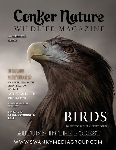 OUR NOVEMBER ISSUE HAS ARRIVED 🦅🤎⁠
⁠
Conker Nature Magazine - November 2024: The Wildlife Edition⁠
⁠
Front cover: Birds⁠
⁠
Photographer: Aleksey Gorin⁠
IG: @al.goritm⁠
⁠
👉🏻 Purchase our Print & Digital Editions on our website by visiting swankygroupworldwide.shop, or visit the link in our bio 🦊⁠ Nature Magazine, Perfect Binding, David Attenborough, Eco Travel, Animal Species, Nature Wildlife, Wildlife Conservation, Buy Prints, Wildlife Photography