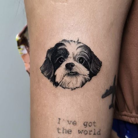 Shitzu Dog Tattoo, Dogs Tatoos Ideas, Shihpoo Tattoo, Shih Tzu Memorial Tattoo, Shin Tzu Tattoo, Shitzu Tattoo Ideas, Dog Tattoo Shih Tzu, Shitzu Tattoos, Shih Tzu Tattoo Minimalist