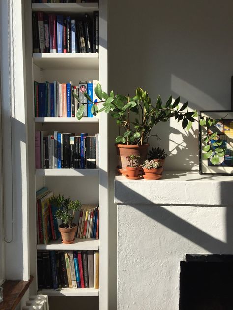 small space Bookshelf Inspiration Small Space, Small Home Bookshelves, Library For Small Room, Bookshelf In Small Space, Bookshelves In Small Bedroom, Bookshelf For Small Space, Small Aesthetic Bookshelf, Bookshelf For Small Bedroom, Small Bookshelves In Bedroom