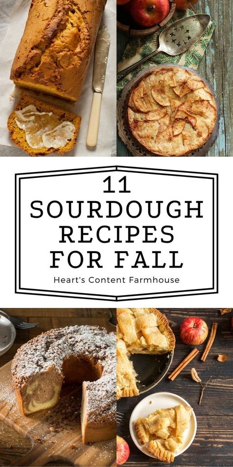 Fall Sourdough, Use Sourdough Starter, Dough Starter Recipe, Pumpkin Sourdough, Sourdough Pumpkin, Recipe Using Sourdough Starter, Sourdough Bread Starter, Bake Something, Sourdough Starter Discard Recipe