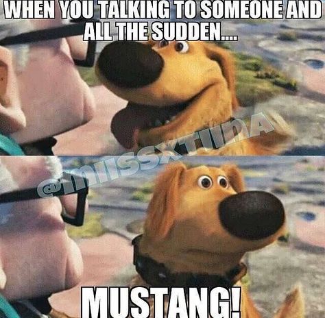 Mustang                                                                                                                                                                                 More Mustang Meme, Mustang Humor, Chevy Jokes, Girls Memes, Cars Mustang, Mustang Girl, Mustang Sally, Car Jokes, Funny Car Memes