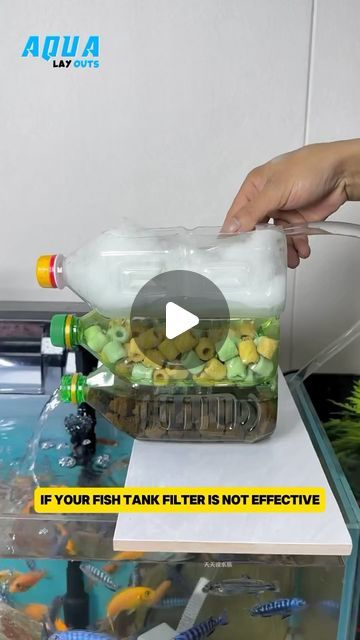 Small Fish Tanks, Aquarium Filter, Small Fish, Fish Tanks, Instagram Diy, October 5, Aquariums, Fish Tank, Viral Videos