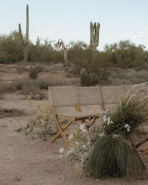 Desert wedding inspo, Scottsdale wedding photographer, luxury wedding design, Arizona wedding inspo, wedding details, outside wedding ceremony inspo, Photographer: @georgiagraceephotography Florals: @duet.botanical Designer: @gatherist_ Makeup: @makiajbeauty @anissaraebeauty Dress: @valentine.bridal Honeymoon: @amangiri Bride: @tiffany.delite Moody Desert Wedding, High Desert Wedding, Desert Theme Wedding, Desert Wedding Decor, Outside Wedding Ceremonies, Arizona Desert Wedding, Wedding Chuppah, Cactus Wedding, Wyoming Weddings