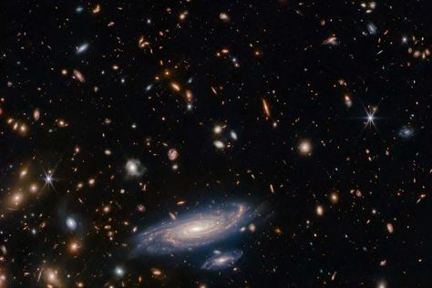 Galaxies spotted by the James Webb Space Telescope seem far too massive to have formed so early on in the universe’s history, which could be a problem for our ideas of galaxy formation Telescope Images, Star Formation, James Webb, James Webb Space Telescope, Spiral Galaxy, Space Telescope, Light Year, Telescopes, Astronomer