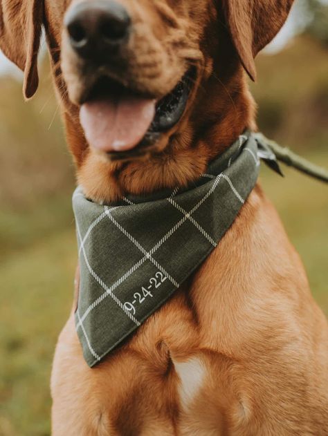 Pet Bandana For Wedding, Wedding Date Pet Bandana, Windowpane Dog Bandana, Personalized Green Dog Bandana, Wedding Favor For Pets, Monogram by SammysBedsandThreads on Etsy Dog Bandana Engagement Photos, Dog Engagement Bandana, Dog Bandana Wedding, Engagement Pictures With Dog, Bandana Wedding, Surf Wedding, Dog Wedding Bandana, Dog Wedding Outfits, Flower Dog