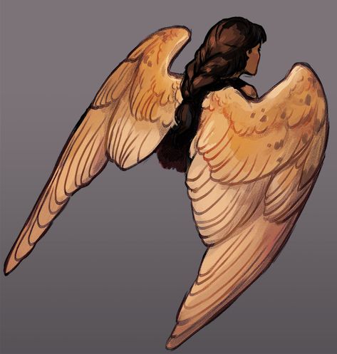 what if people who want wings or whatever were really angels or demons in a past life and that´s why they always have the dream of flying or feel like they should have wings. Bird Person Character Design Female, Humans With Wings Art, People With Wings Art, Humans With Wings, Avian Character Design, Oc With Wings, Avian Oc, Human With Wings, Characters With Wings