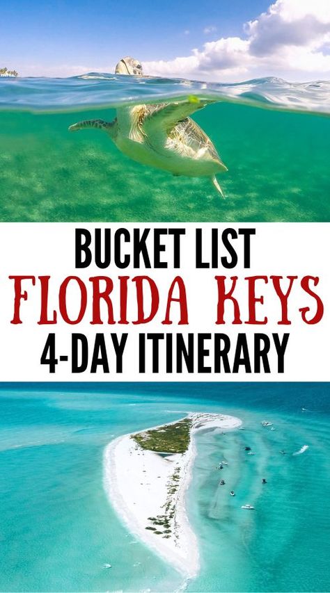 Our Florida Keys travel guide and bucket list trip itinerary covers everything you need to know -- things to do, where to stay, packing and more! | key west florida | florida keys | florida keys road trip | key west vacations | travel usa | florida keys travel | marathon florida keys | best things to do in florida keys | places to go | summer bucket list | dive florida | wanderlust Things To Do In The Florida Keys, The Keys Florida, Florida Itinerary, Key West Florida Vacation, Florida Keys Travel, Keys Florida, Marathon Key, Florida Keys Road Trip, Travel Key West