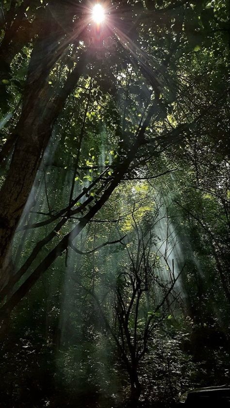 Small Circle Of Friends, Mountain Trekking, Dark Mountains, Dark Green Wallpaper, Mountain Aesthetic, Dark Green Aesthetic, Forest Wallpaper, Fantasy Places, Dark Wallpaper Iphone