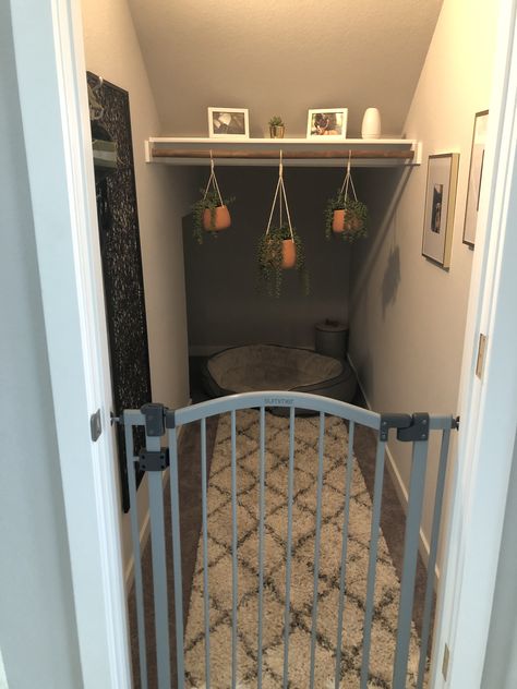 Under Stairs Puppy Room, Pet Room Ideas Under Stairs, Under Stairs Animal House, Under Stairs Dog Kennel Door, Dog Bedroom In Closet, Pet Space Under Stairs, Dog Staircase Room, Built In Dog Room Under Stairs, Understair Room Idea