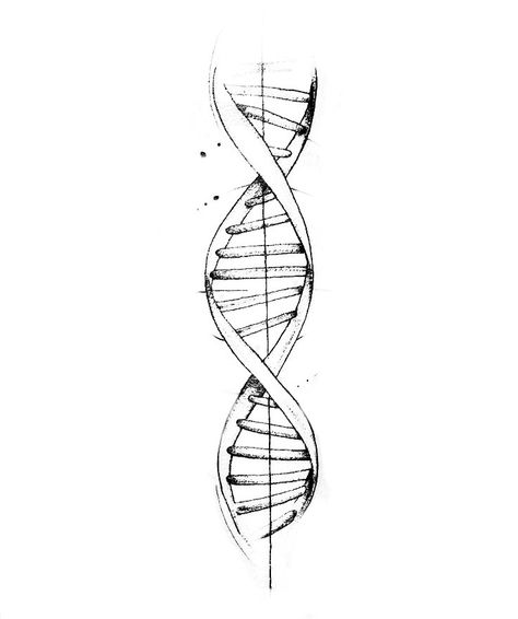 Dna Strand Drawing, Dna Strand Tattoo, Dna Tattoo Design, Microbiology Poster, Friend Tats, Dna Drawing, Dna Tattoo, Dna Helix, Dna Model