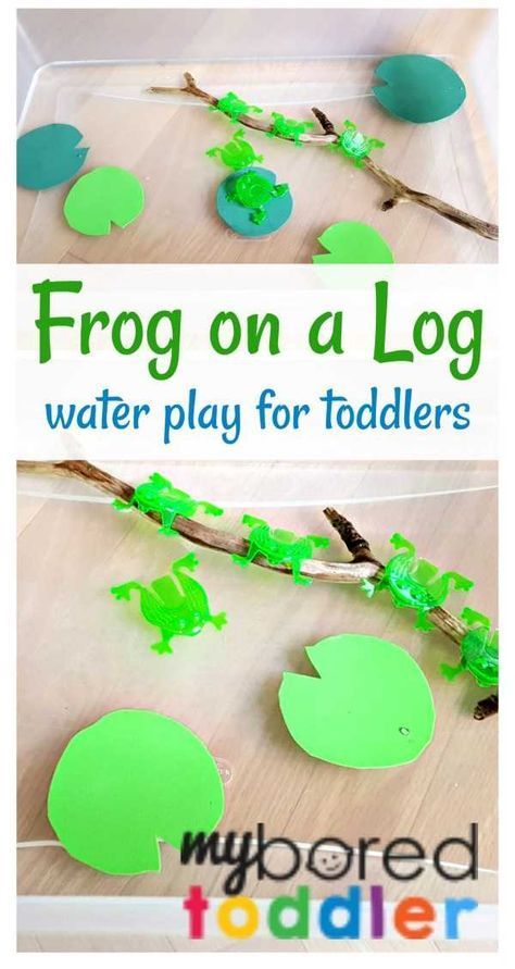 Activity For 1 Year, Water Play For Toddlers, Frogs On A Log, Frog On A Log, Activity For Babies, Science Activities For Toddlers, Water Play Activities, Frog Activities, Frog Theme