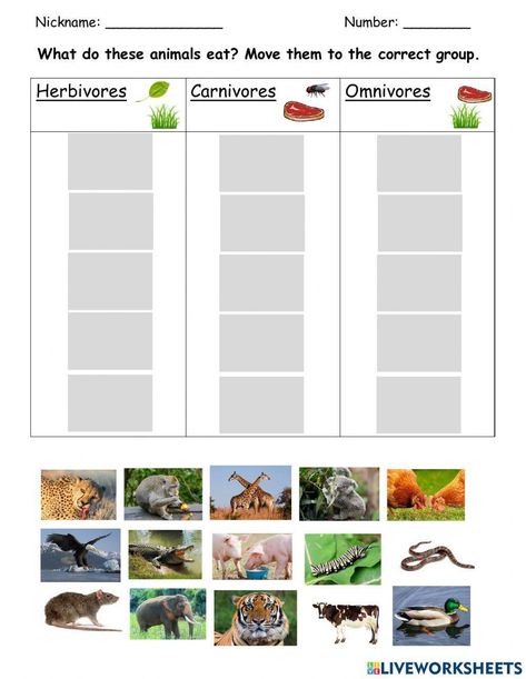 X Worksheet, Carnivores Herbivores Omnivores, States Of Matter Worksheet, Excretory System, Vertebrates And Invertebrates, Matter Worksheets, Healthy And Unhealthy Food, Super Teacher, Force And Motion