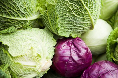 There are hundreds of cabbage varieties, but only a few make it to the supermarket. Here is what you need to know when selecting cabbage for a recipe. Cabbage Health Benefits, Cabbage Varieties, Types Of Cabbage, Freezing Vegetables, Cruciferous Vegetables, Savoy Cabbage, Cooked Cabbage, Purple Cabbage, Soluble Fiber