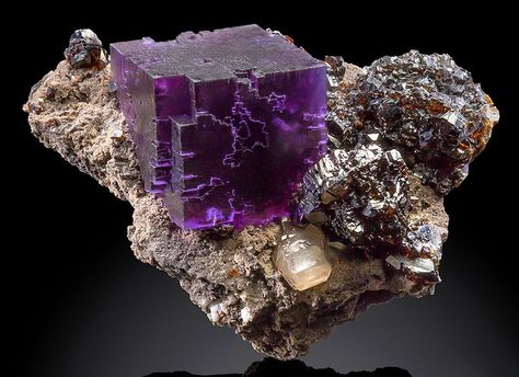 Fluorite cube with Calcite and Sphalerite on matrix. Different Types Of Crystals, Minerals Crystals Rocks, Earth Gift, Rock Minerals, Fine Minerals, Types Of Crystals, Pretty Rocks, Beautiful Rocks, Mineral Stone