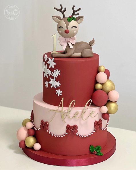 Reindeer Birthday Cake, Reindeer Cake, Christmas Birthday Cake, Big Birthday Cake, Shark Birthday Cakes, Reindeer Cakes, Santa Cake, Woodland Cake