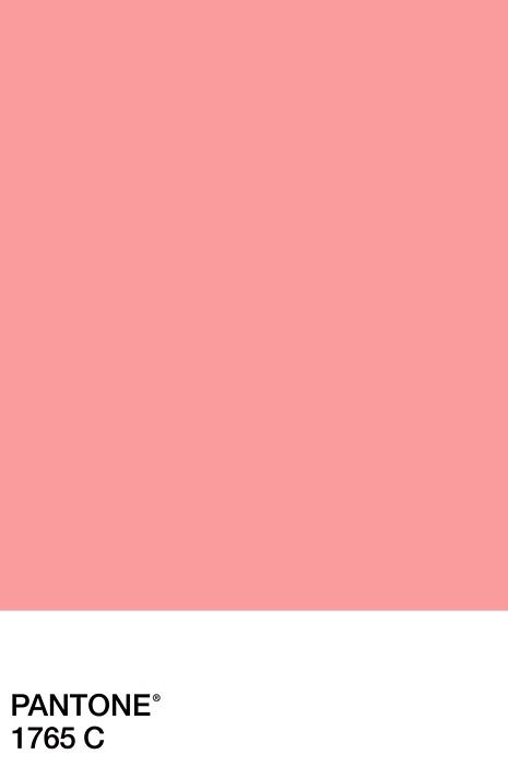 Pantone 1765 C .. Morgan Color, Pantone Rose, Pink Pantone, Pantone Swatches, Pantone Universe, Pantone Palette, Pantone Colour Palettes, King King, Pantone Colors