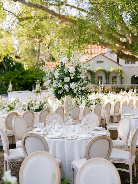 An All-White Secret Garden Wedding at Marie Selby Botanical Gardens Hidden Garden Wedding, Selby Gardens Wedding, Botanical Garden Wedding, Secret Garden Wedding, Botanical Gardens Wedding, Hidden Garden, Gardens Wedding, Future Wedding Plans, Wedding Plans