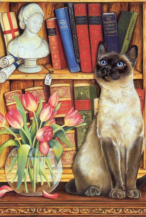 https://www.flickr.com/photos/suetarr1/4821798232/ Books And Cats, Image Chat, Cat Books, Canvas Gift, Cats Illustration, Arte Animal, Cat Painting, Siamese Cats, All About Cats