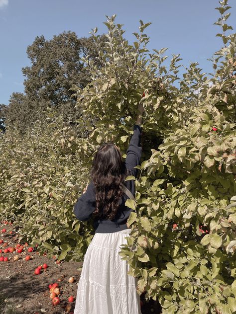 Apple picking, fall activities, white skirt outfit, sweater outfit, curled hair Apple Employee Outfit, Picking Apples Aesthetic, Fall Outfits For Apple Picking, Apple Farm Outfit, Fall White Skirt Outfits, Apple Picking Fits, Apple Picking Poses, Skirt Photoshoot Poses, Apple Picking Photoshoot