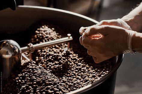 a man checks the roasting of coffee. The coffee factory. Professional coffee making. Equipment for roasting grain. Coffee Bean Roasting, Roasting Coffee Beans, Coffee Shots, Coffee Factory, Coffee Roasting Machine, Roasting Coffee, Grinding Coffee Beans, Robusta Coffee, Factory Work