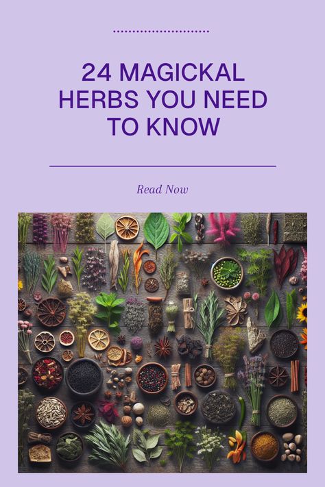 Are you ready to explore the world of magick through herbs? Our list of 24 essential magickal herbs will guide you on how you can incorporate these plants into your witchcraft practice. Each herb is packed with unique properties and magical uses, perfect for spiritual rituals and herbal remedies. Whether you're making talismans, herbal teas, or simply enhancing your garden with powerful plants, this guide is here to inspire your journey. Discover how to grow and use these enchanting spiritual plants to enrich your life and magical practices! Herbs And Their Magical Properties, Ancient Herbal Remedies, Herbal Correspondences Witchcraft, Wicca Herbs And Uses, Witchcraft Herbs Meanings List, Magic Herb Garden, Magickal Herbs Herbal Magic, Magical Herbs And Their Uses, Plant Powers Magic