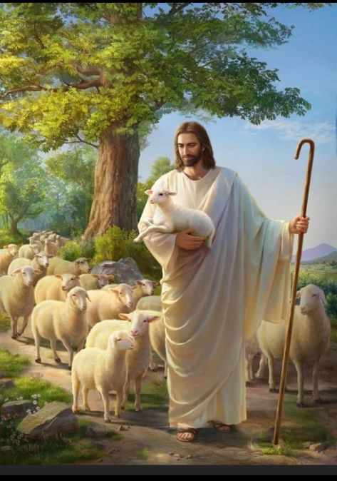 Christ The Good Shepherd, Jesus Christ Illustration, Catholic Pictures, Jesus Christ Painting, Pictures Of Christ, Jesus Christ Artwork, Bible Images, Jesus And Mary Pictures, Jesus Christ Art