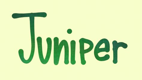 Baby girl's name Juniper. This nature name favorite for girls has been rising through the ranks on the heels of equally sweet J names of decades past, such as Jennifer. Name Aesthetic, Dream Puppy, Nature Names, J Names, Girls Names, Name Inspiration, Girl Name, Puppy Names, Future Family