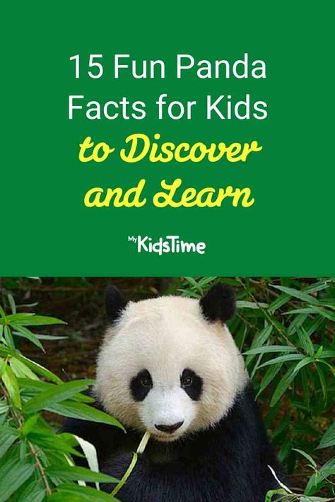 15 Fun Panda Facts for Kids to Discover and Learn Panda Facts For Kids, Bear Facts For Kids, Zoo Activities Preschool, Panda For Kids, Panda Activities, Kung Fu Panda Party, Panda Facts, Animal Facts For Kids, Panda Day