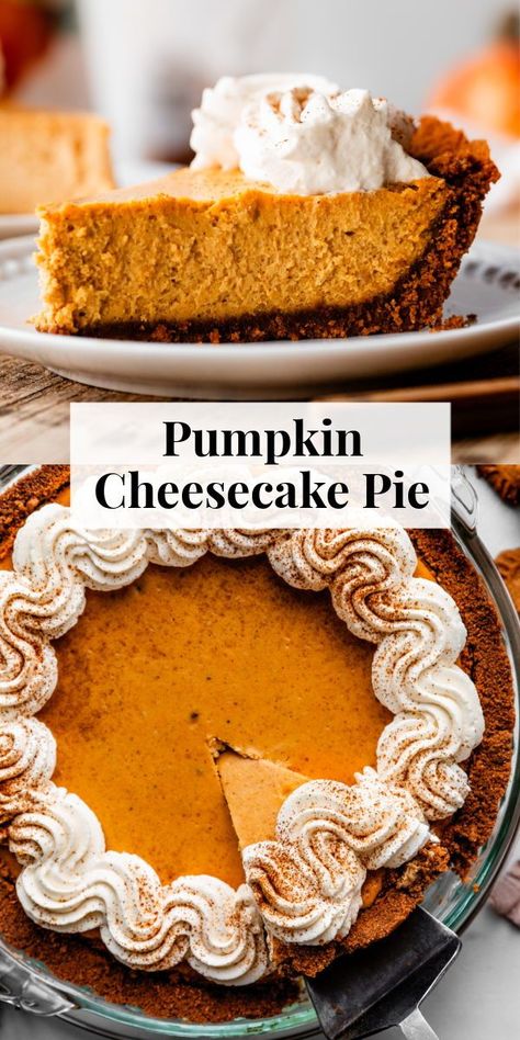 This pumpkin cheesecake pie is just like regular pumpkin cheesecake, but takes a fraction of the time, and there's no water bath needed! #pumpkincheesecake #pumpkin #thanksgiving Non Traditional Pumpkin Pie, Small Pumpkin Cheesecake, Pumping Cheesecake, Pumpkin Pie Cheesecake Recipe No Bake, Baked Cheese Cake, Pumpkin Cheesecake No Sour Cream, Pumpkin Cheesecake With Walnut Topping, Small Batch Pumpkin Cheesecake, Pumpkin Praline Cheesecake