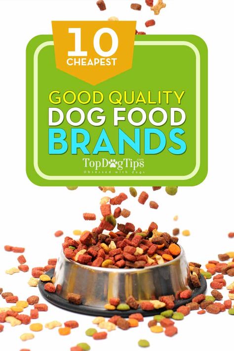 Healthy Dog Food, Best Dry Dog Food, Best Dog Food Brands, Senior Dog Food Recipes, Cats Food, Grain Free Dog Food, Saving Hacks, Cheap Healthy, Dog Food Brands