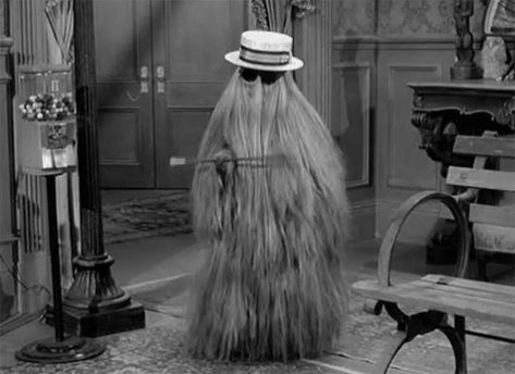 Cousin Itt GIF - Cousin Itt Cousinitt - Discover & Share GIFs Cousin It Adams Family, Cousin Itt, Addams Family Tv Show, Cousin It, Charles Addams, Addams Family Costumes, Gomez Addams, Chiropractic Adjustment, Morticia Addams