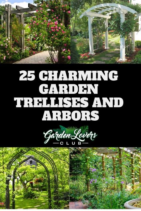 25 Charming Garden Trellises and Arbors - Garden Lovers Club Garden Corner Ideas, Sophisticated Garden, Wood Arbor, Trellis Fence, Corner Ideas, Garden Corner, Persian Garden, Building A Pergola, Country Gardens